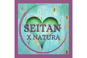 Vegarella Bistecca di Seitan Bio 200g | Seitan X Natura | Made In Italy | Vegan Gourmet Stek BIO