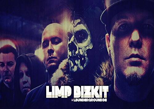 Limp Bizkit 11 Fred Durst Sam Rivers John Otto Wes Borland gran Rock Metal música de mejor álbum de diseño único fotos impresión A3 Poster