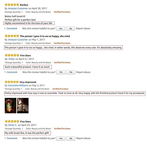 „Die Schöne und das Biest“ Rosen-Set. Inklusive: eine rote Seidenrose, LED Lichterkette , einige abgefallene Blütenblätter, eine Glasflasche, ein Holzsockel - 6