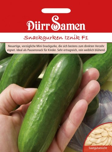 Salatgurken Iznik F1