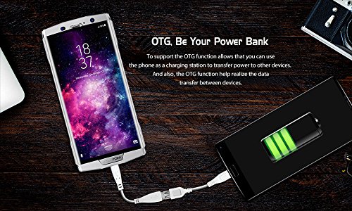 HOMTOM HT70 - Smartphone Android 7.0 4G da 6.0 pollici (rapporto 18: 9), batteria da 10000 mAh Â  ricarica rapida, Octa Core da 1,5 GHz 4 GB + 64 GB, fotocamera tripla, OTG tipo-C - Argento