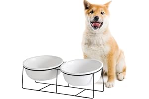 AHX Ceramic Dog Bowls - Elevated Cat Dog Bowls Set with Metal Stand for Water and Food - Double Raised and Tilted Pet Dish for Medium Dogs and Large Cats - Microwave and Dishwasher Safe - 28.7 oz × 2