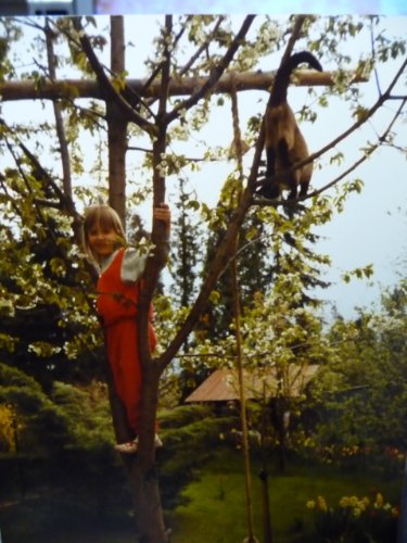 Pattys neuer Freund (Runzelwatz 1)