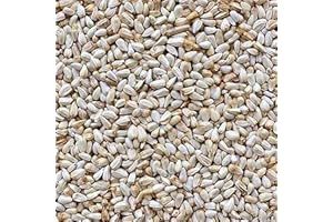 Il Contadino - Antichi Becchimi | CARTAMO AD USO ZOOTECNICO | Essenza di semi Selezionati e Super Ventilati, No OGM, 100% Vegetale, Assenza di scarti. Qualità Superiore (1 Kg)