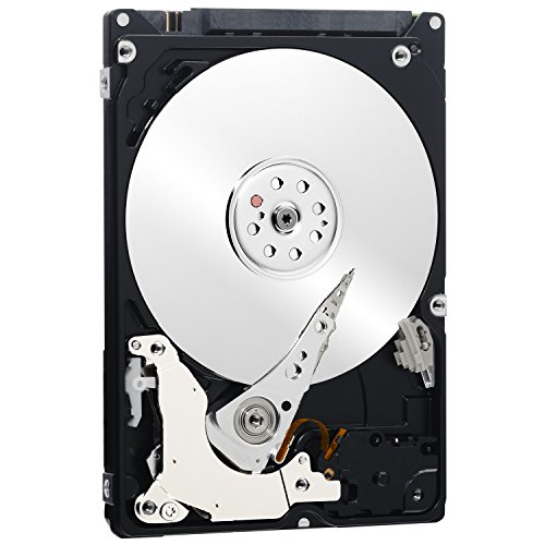 WD Black - Disco duro de alto rendimiento para ordenadores de sobremesa de 500 GB  7200 rpm  SATA a 6 Gb s  32 MB de cach    2 5  