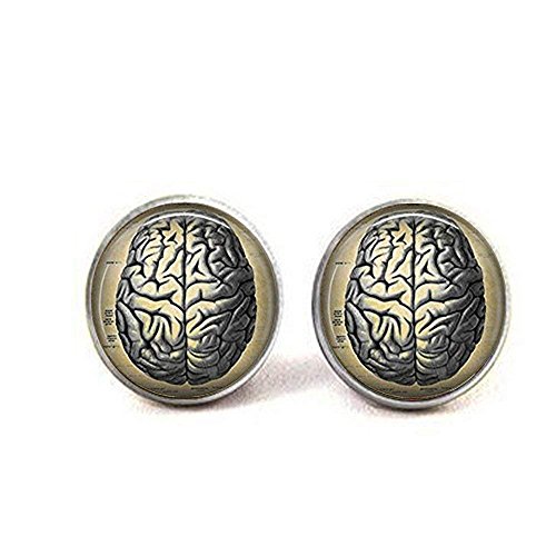 Gemelos de cerebros