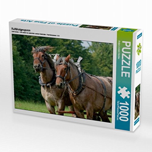 Kaltblutgespann 1000 Teile Puzzle quer (CALVENDO Tiere)