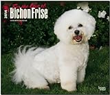 Bichon Frise - For the Love of 2014: Original BrownTrout-Kalender - Deluxe [Mehrsprachig] [Kalender] by 