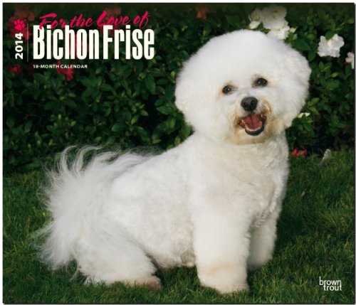 Bichon Frise - For the Love of 2014: Original BrownTrout-Kalender - Deluxe [Mehrsprachig] [Kalender]