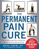 Image de The Permanent Pain Cure