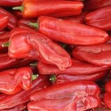 Verduras Seekay Pimiento Picante Anaheim - 260 Semillas - Vegetal