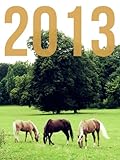 Image de Horses 2013 Calendar (US Edition) (English Edition)