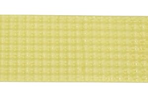 Bicaquu 40pcs Strisce ManHao fluvalinate api Acari varroa Killer medicinali per Apicoltura