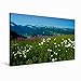 Produktbild Leinwand Alpenblühen am Col de Forclaz 90x60cm, Special-Edition Wandbild, Bild auf Keilrahmen, Fertigbild auf hochwertigem Textil, Leinwanddruck, kein Poster