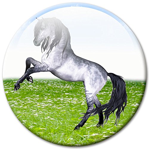 Pferde – Lebhafte Design Metall Magnettafel 40×30 cm – Pinnwand Memoboard mit Motiv: Pferde im Galopp – inkl. 4 Magnete mit Motiven von Pferden auf der Wiese für Magnetwand – Original Magnetpinnwand GUMA Magneticum - 8