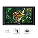 Price comparison product image HD Pen Display Digital Drawing Monitor with 20 Express Keys and Touch Bar 8192 Pressure Sensitivity 21,5 Inch Huion KAMVAS GT-221 Pro