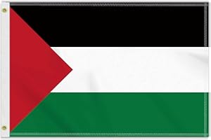 PETITE PINE Große 60×90 CM Palästina Flagge, 2×3FT Medium 150D Palästinian banner,Strapazierfähige Doube-Seitendruck Dekor Messingösen Medium Palestine