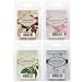 Produktbild HOSLEY 's Set of 4 verschiedene Wachs Würfel - je 2,5 oz. Geißblatt, Indian Pink Lotus, Limoncello, Seychellen