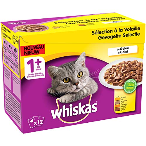 Whiskas-Sachets-Fracheur-pour-Chat