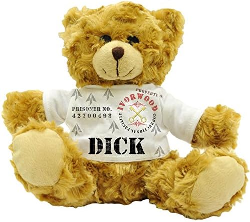 Dick Property of Ivorwood Correctional Facility - Personalised Male Name Prisoner Plush Teddy Bear (22cm)
