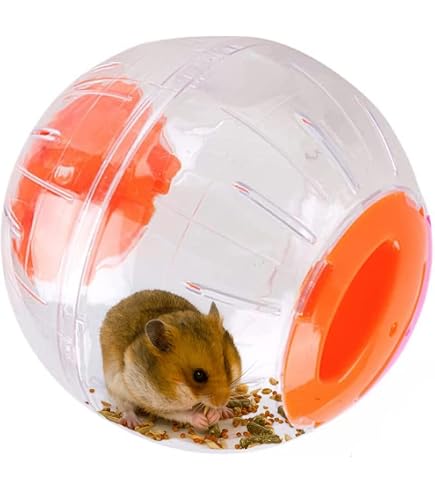 Gabbia Criceti Porcellini Ruota Silenziosa Per Criceti Toddmomy - Giocattolo Esercizio Legno 15cm Giocattolo Criceti Porcellini India - 6