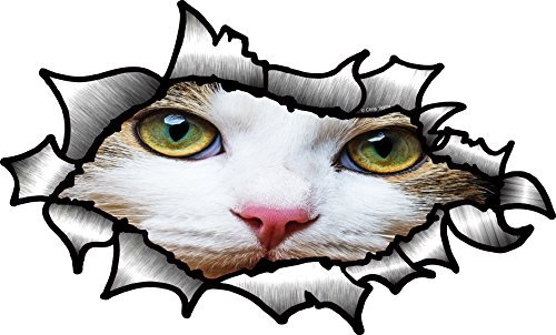 OVAL GERISSENES Öffnen ZERRISSEN metall effekt Design Mit Nette Katze Kätzchen Gesicht Vinyl Auto Aufkleber 150x90mm