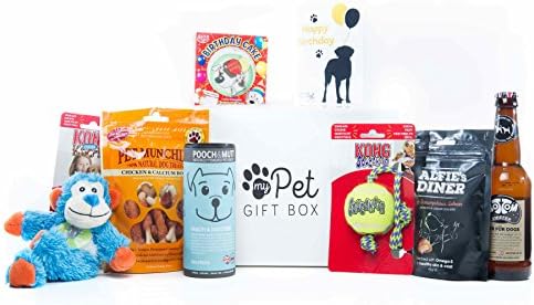 The Birthday Boy Treats &amp; Toys Gift Box For Dogs, Dog Birthday Present, Dog Birthday Cake, Dog Birthday Gifts