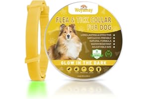 Woyamay Collare Antiparassitario per Cani, Luminoso Collare Antipulci Cane Naturale, 8 Mesi di Protezione, Regolabile Resistente All'acqua Collari Antiparassitari per Cani Per Tutte Le Taglie, Giallo