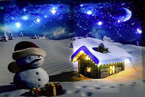 Preisvergleich Produktbild Tinas Collection Weihnachtsbild Schneemann LED mit 14 LEDs, 40 x 60 cm