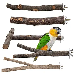 EBaokuup 5PCS Bird Parrot Perch Stand Set - Natural Wood Bird Parrot Stand Branches Fork Perch Rod Stand for Small Parakeets Budgies Cockatiels Conure Lovebirds