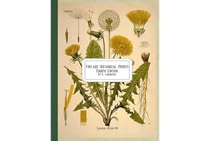 Vintage Botanical Prints: Eighth Edition