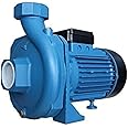 Prakash 2.0 HP Water Centrifugal Pump