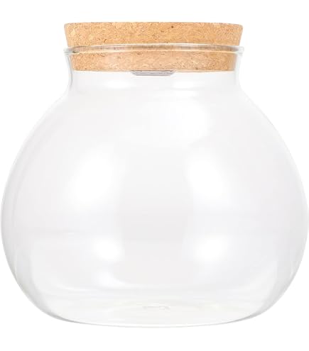 Musykrafties Glas-Terrarium Mit Deckel – Dekoratives Vorratsglas 22x20x20 Cm, 3750 Ml