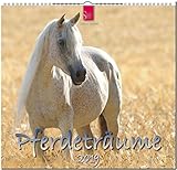 MF-Kalender PFERDETRÄUME 2019 by 