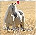 MF-Kalender PFERDETRÄUME 2019 by 