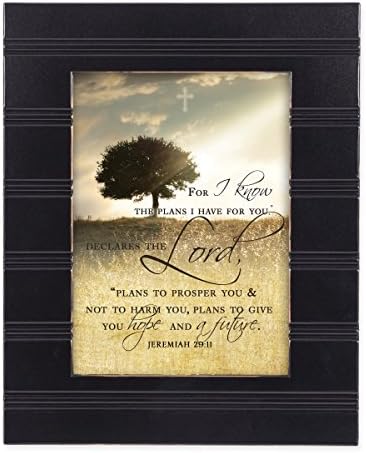 For I know the Plans I Have For You Jeremiah 29:11 Black 8 x 10 Sentimental Framed Art Plaque