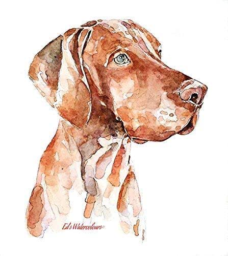vizsla artwork