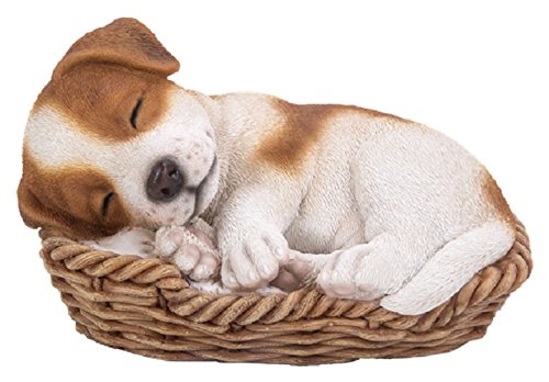 Vivid Arts Pet Pals Jack Russell Welpe im Korb