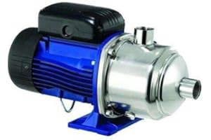 Elektropumpe für Kreiselpumpe, 3HM05P07M, einphasig, 3HM05, Lowara Wassermotor