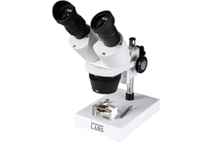 Celestron – Stereo Microscope – Celestron Labs S1030N – Ergonomic Binocular Head – 10x and 30x Magnification