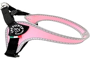 TRE PONTI Treponti Pettorina per Cani di Piccola Taglia, con Fibbia Regolabile sul Ventre
