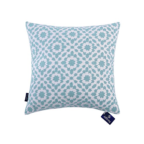 sky blue cushion covers