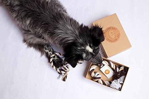 Two-Fantastic-Quality-Dog-Toys-in-Beautiful-Gift-Box-by-The-Natural-Pet-Company-Tug-of-War-Dog-Rope-Toy-Double-Pack-For-Interactive-Play-With-Your-Dog