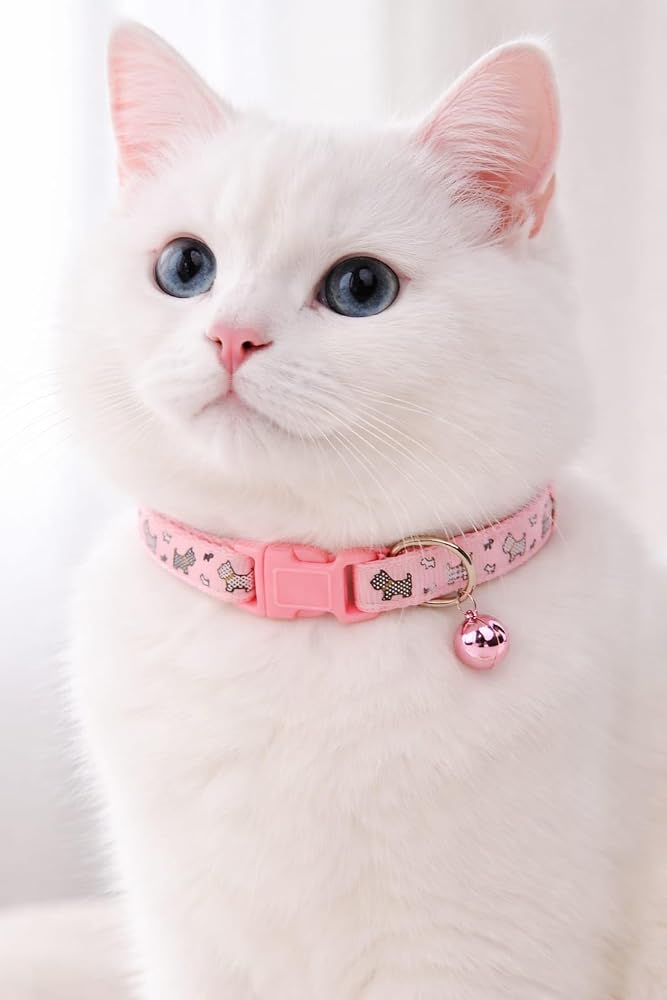 KEDİ BOYUN TASMASI ZİLLİ VE AYARLANABİLİR PEMBE