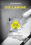 Image de Die Lawine (DuMont True Tales): Freeski-Albtraum am Tunnel Creek