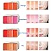 SKINFOOD LIP And CHEEK 1+1 Set Fresh Fruit Trio Color Lip Cheek Gloss Balm Shadow (Mini Tomato 1+1)