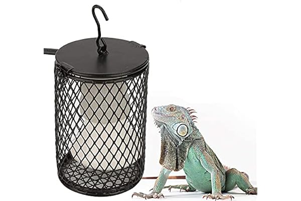 Kit de lampe chauffante pour reptiles 220-230 V, lampe chauffante pour incubateur de reptiles pour animaux de compagnie, lampe chauffante en céramique anti-brûlure adaptée aux serpents et aux lézards