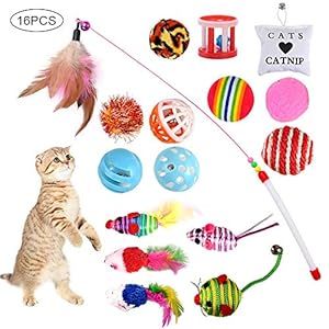 GOLDGE 16 Piezas Juguetes para Gatos, Juguete Interactivo con Plumas para Gatos, Ratóns y Bolas Varias para Gatos