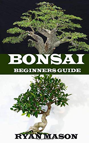 Preisvergleich Produktbild BONSAI: Beginners guide