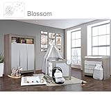 Babyzimmer Felix in akaziengrau 10 tlg. mit 3 türigem Kl. in Blossom Weiß/Grau